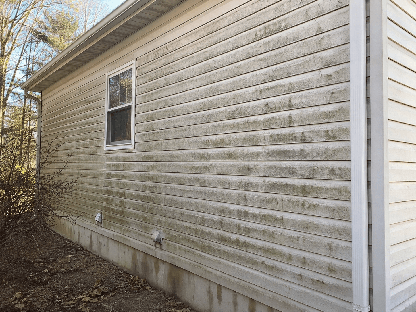 Exterior before soft washing (temporary AI concept image)